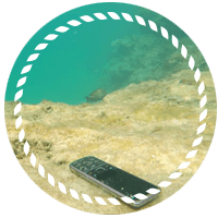 lost and found recovery